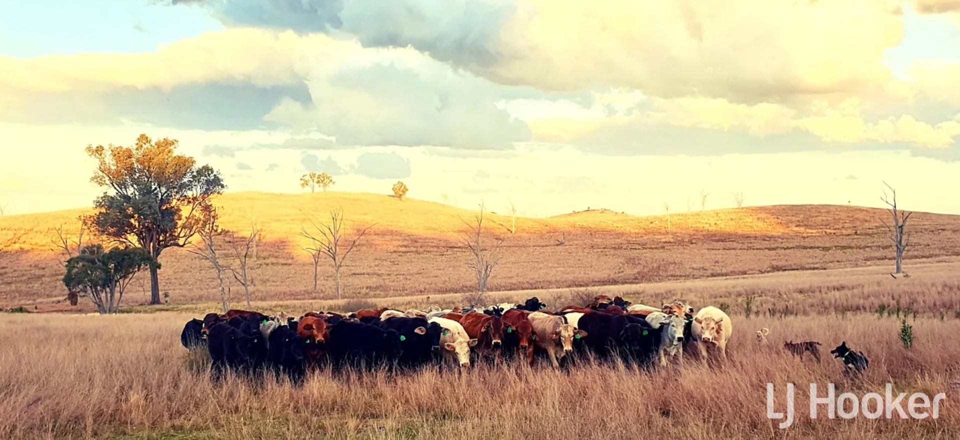 Additional image 12 of 557 Pindari Dam Road, Inverell NSW 2360