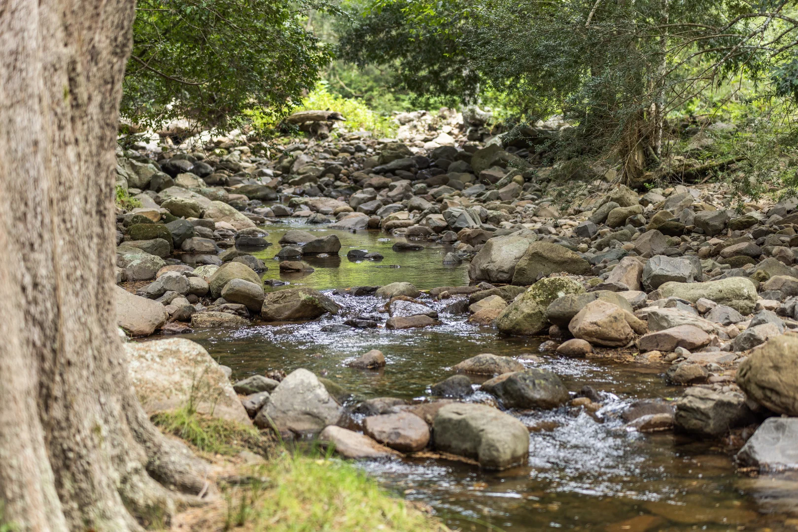 Additional image 16 of 'Franks Farm' Lots 127-129 Free Selectors Road, Foxground NSW 2534