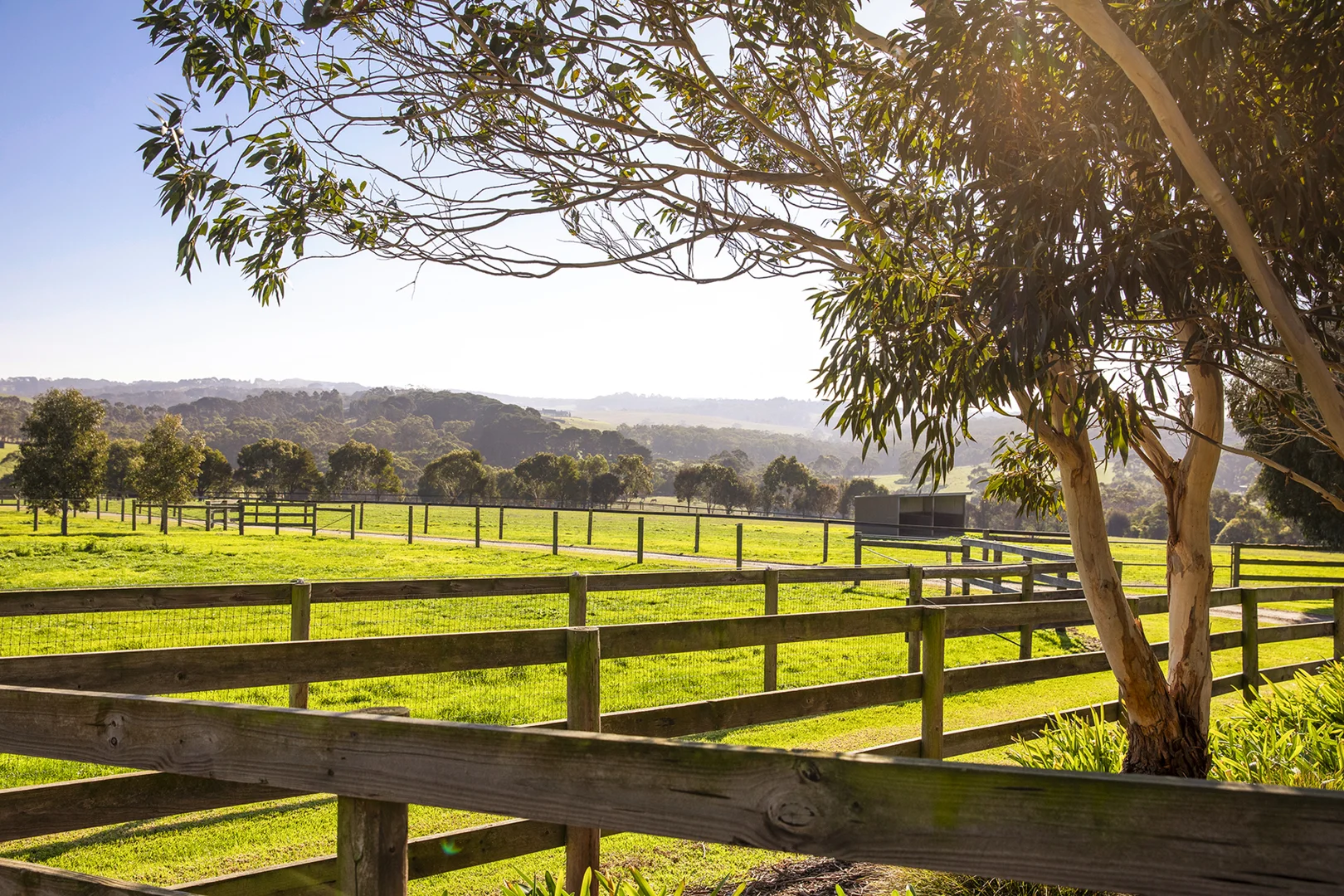 Additional image 11 of 4470 Frankston-Flinders Road, Flinders VIC 3929