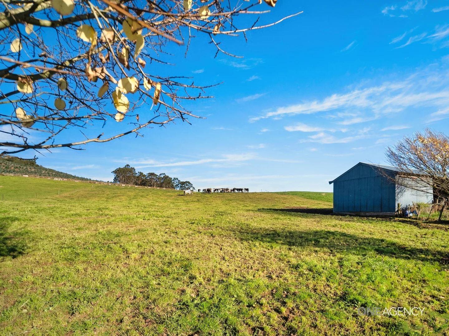 Additional image 17 of 1089 Trowutta Road, Edith Creek TAS 7330