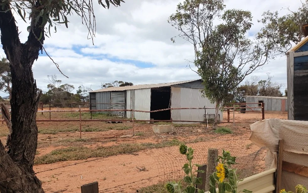 Additional image 19 of 25 Landrace Road, Whyalla Norrie SA 5608