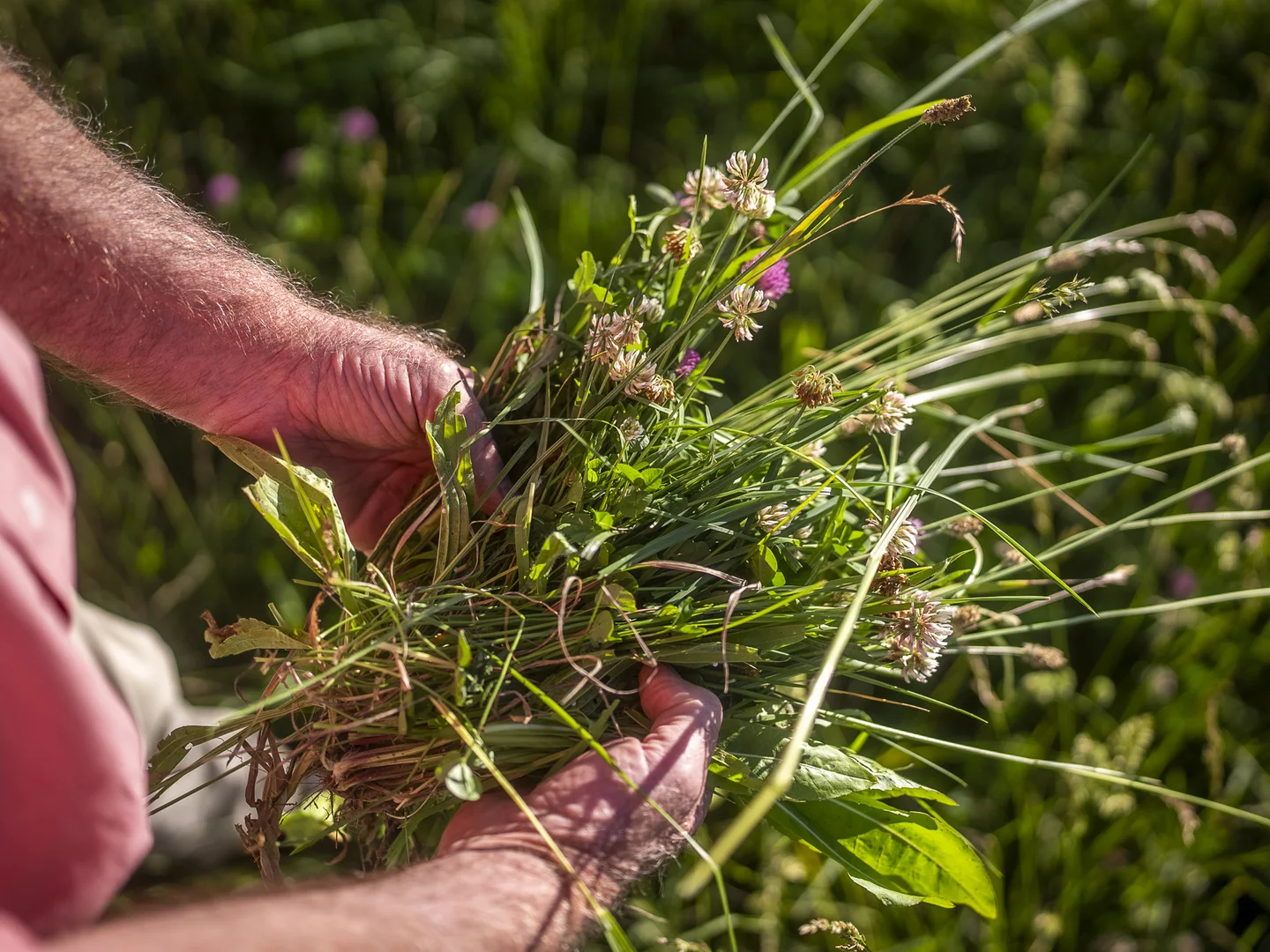 Additional image 25 of 338 Fishington Road, Wongwibinda NSW 2350