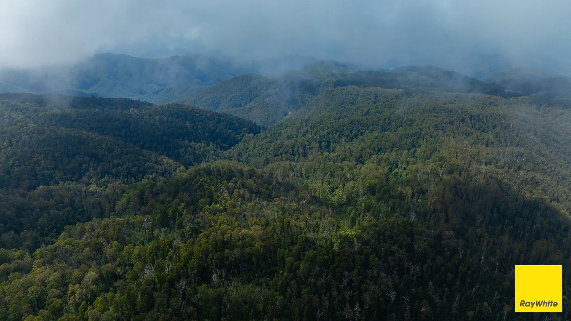 Additional image 13 of Lower Creek NSW 2440