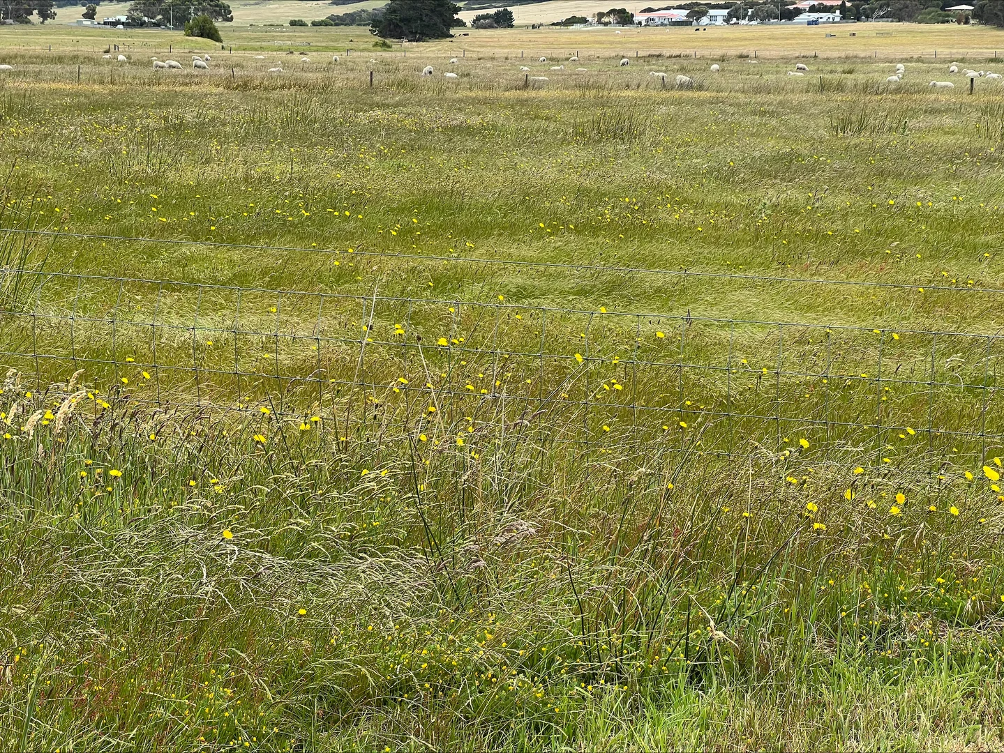 Additional image 10 of Lot 1, 22 Baileys Lane, Whitemark TAS 7255