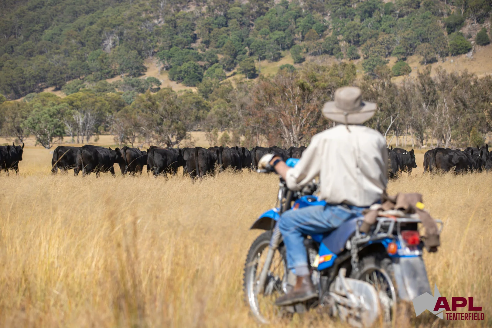 Additional image 9 of 1696 and 1799 New England Highway, Tenterfield NSW 2372