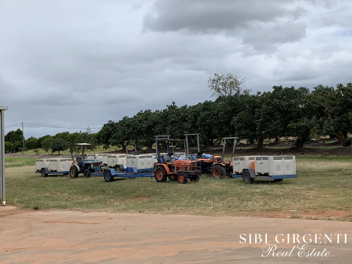 Additional image 37 of 1611 Mareeba-Dimbulah, Arriga QLD 4880