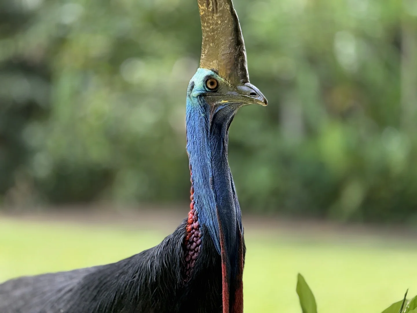 Additional image 34 of Unit 3/112 Kennedy Esplanade, South Mission Beach QLD 4852