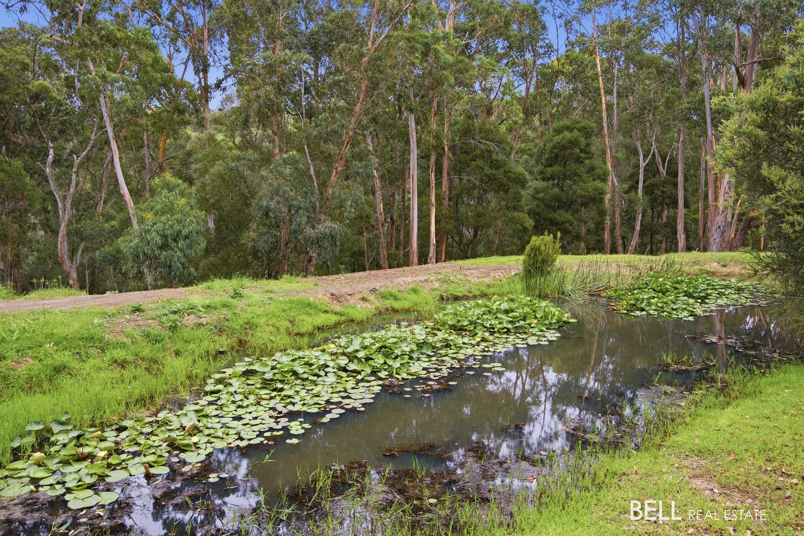 Additional image 30 of 15 James Lane, Hoddles Creek VIC 3139