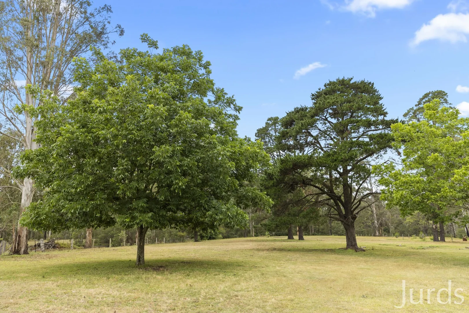 Additional image 5 of 221/1491 Old Maitland Road, Sawyers Gully NSW 2326