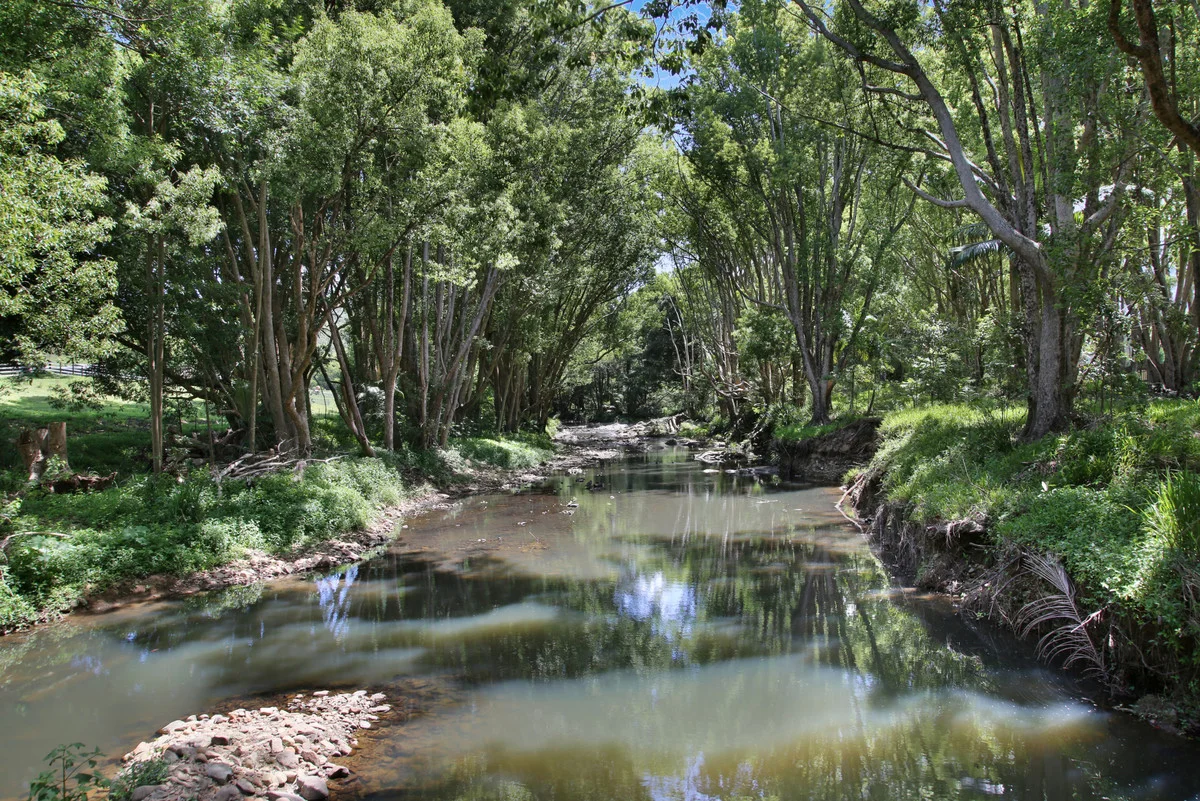 Additional image 4 of 1039 Currumbin Creek Road, Currumbin Valley QLD 4223