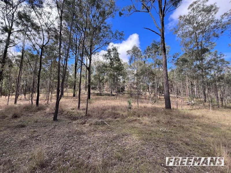 Additional image 25 of 316 Wattle Camp Road, Wattle Camp QLD 4615