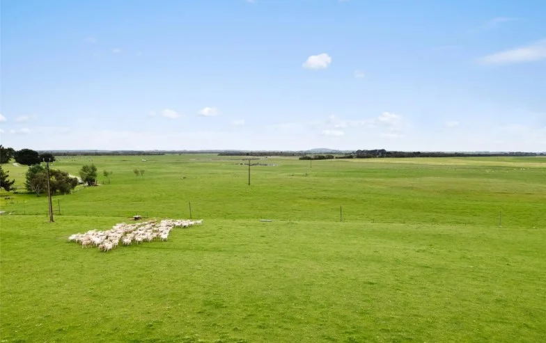 687 Mount Salt Road, Mount Schank SA 5291