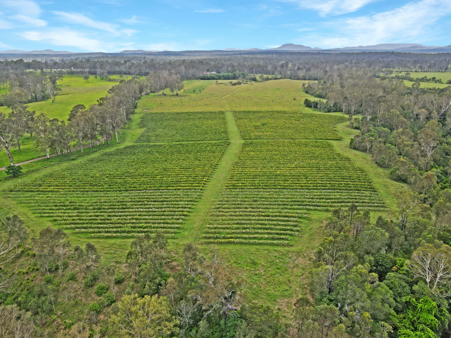 Additional image 13 of 126/288 Blowers Road, Munna Creek QLD 4570