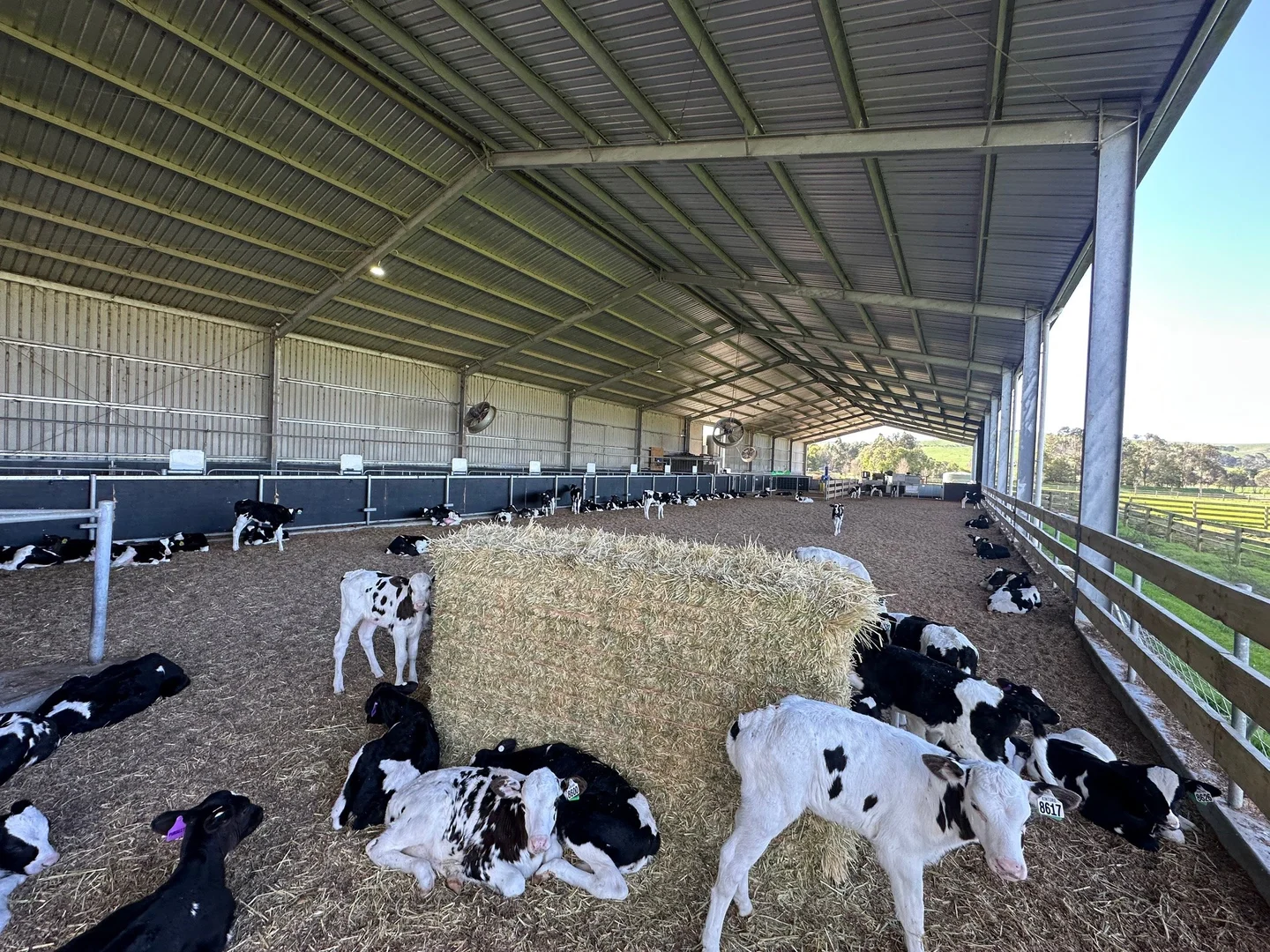 Additional image 19 of 765 Korumburra South Road, Korumburra South VIC 3950