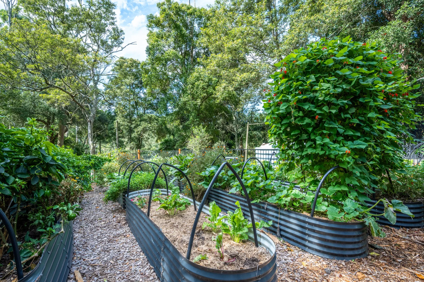 Additional image 22 of 306 Oak Road, Matcham NSW 2250