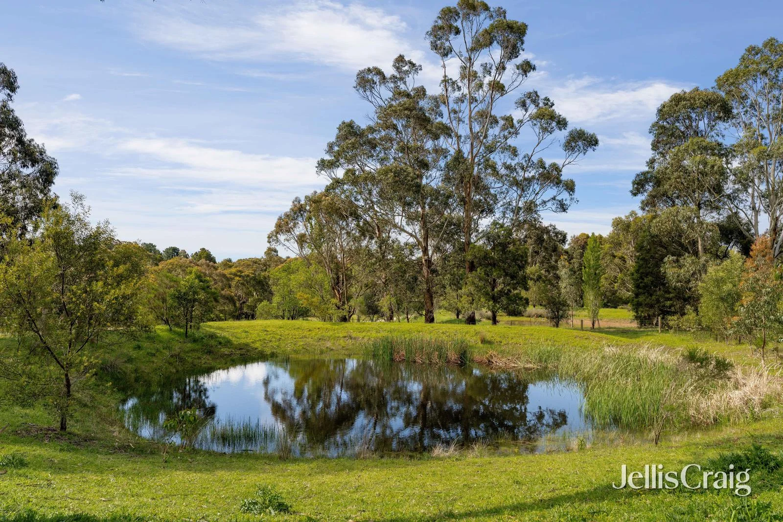 Additional image 35 of 42 Bell Avenue, Mount Helen VIC 3350