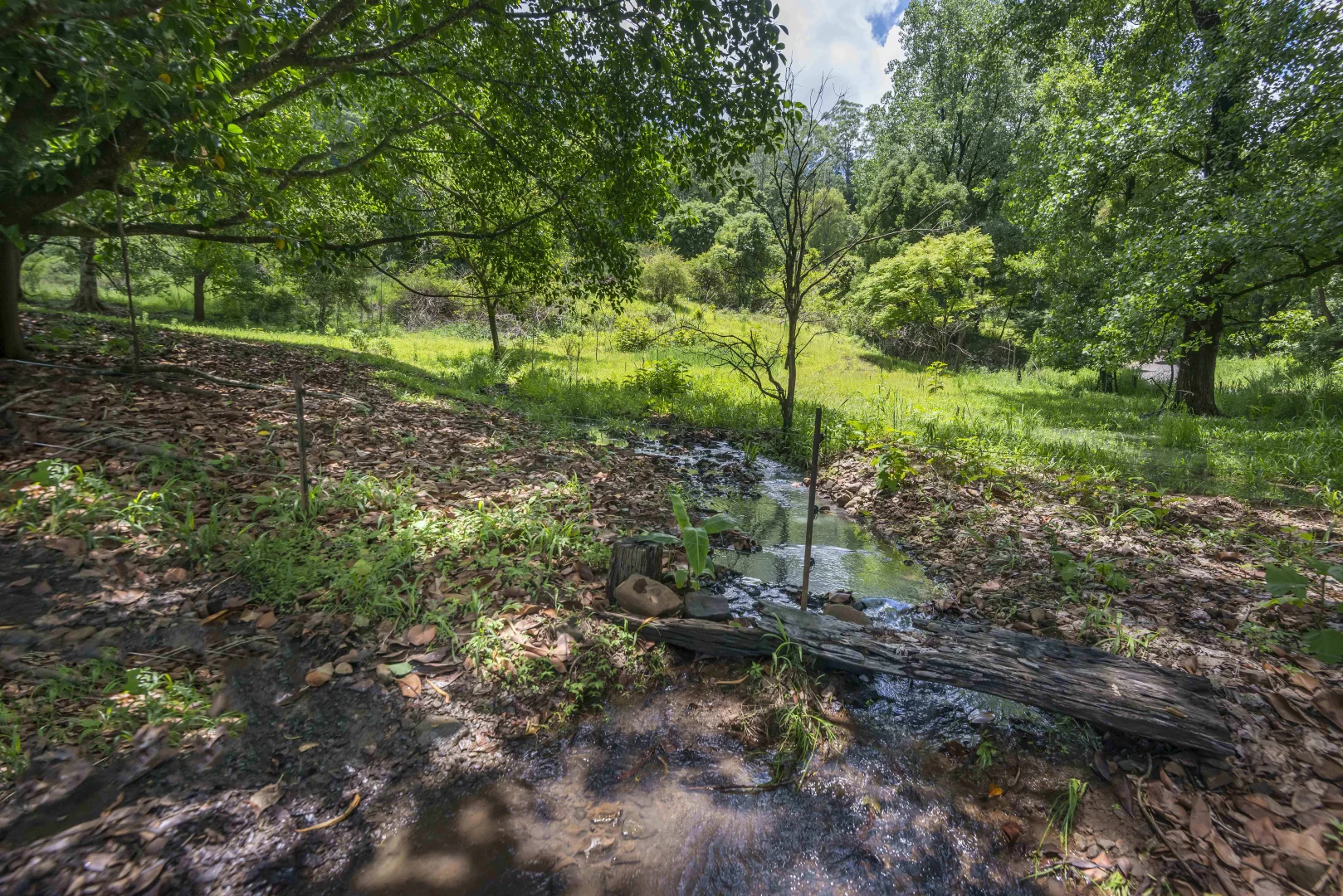 Additional image 16 of 353 Gungas Road, Nimbin NSW 2480