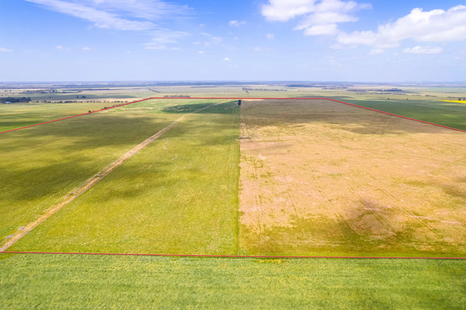 Additional image 15 of Lot 55 Princes Highway, Millicent SA 5280