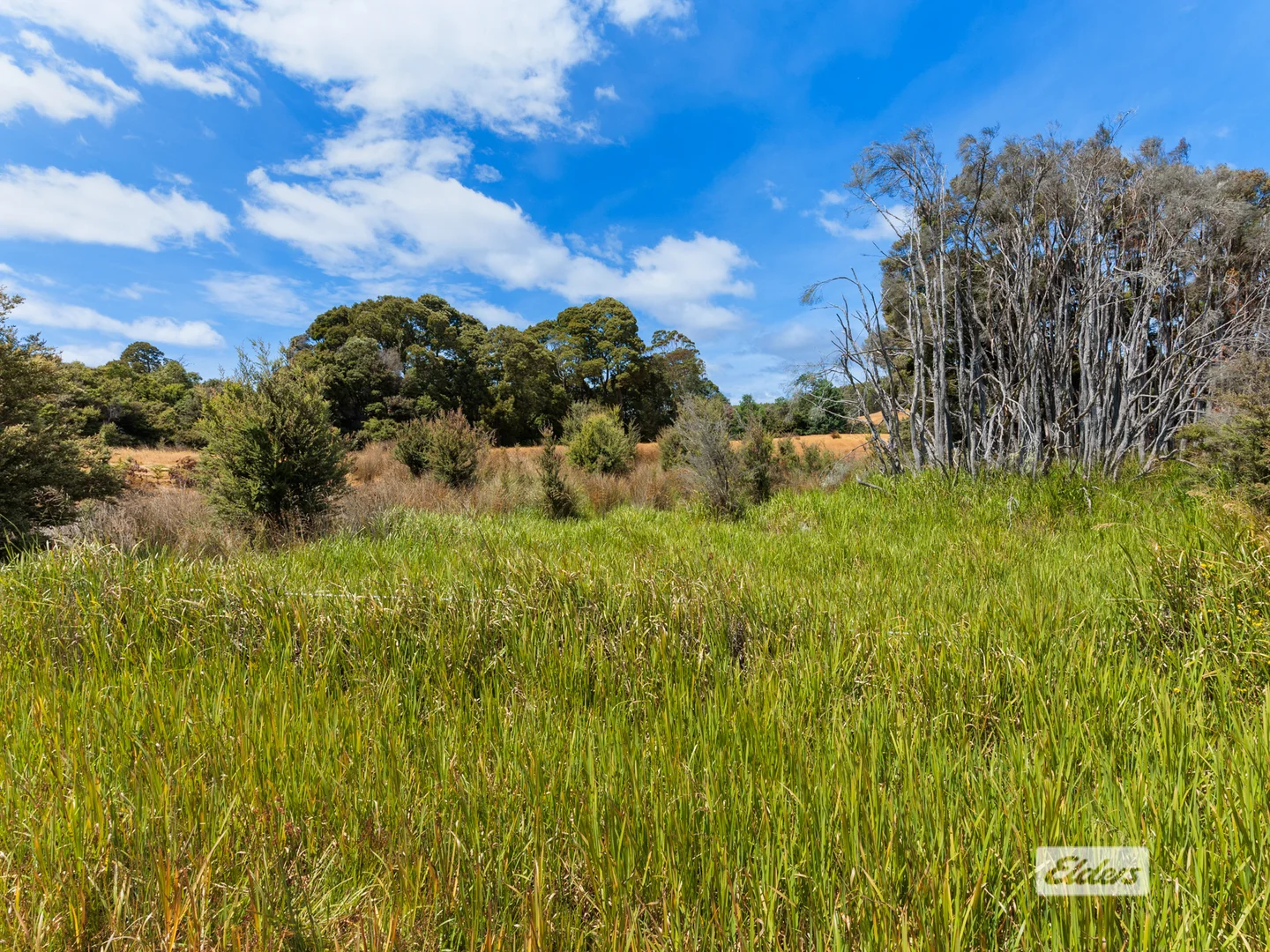 Additional image 8 of 1 Applebys Road, Upper Natone TAS 7321