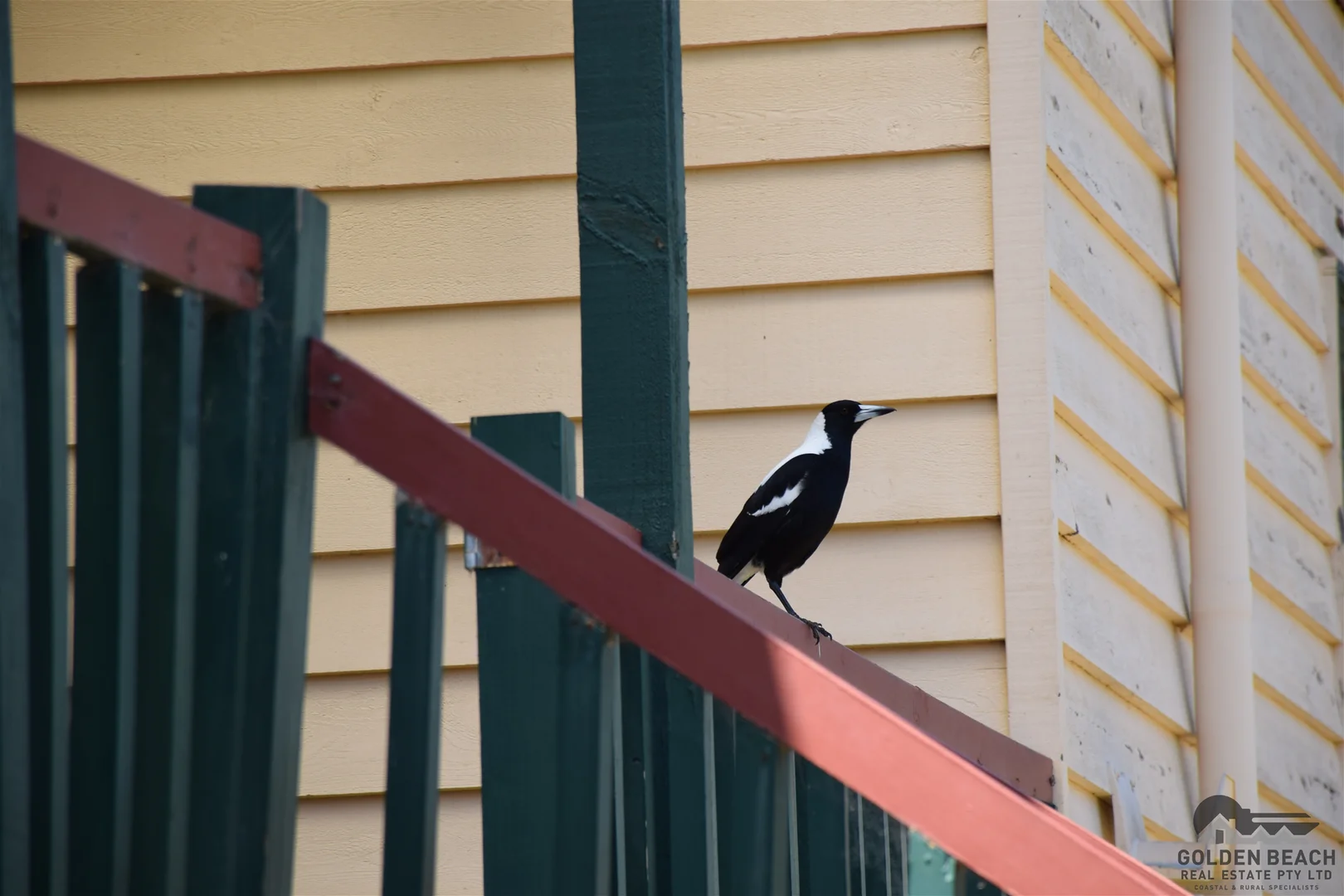 Additional image 14 of 22 Paradise Beach Road, Paradise Beach VIC 3851