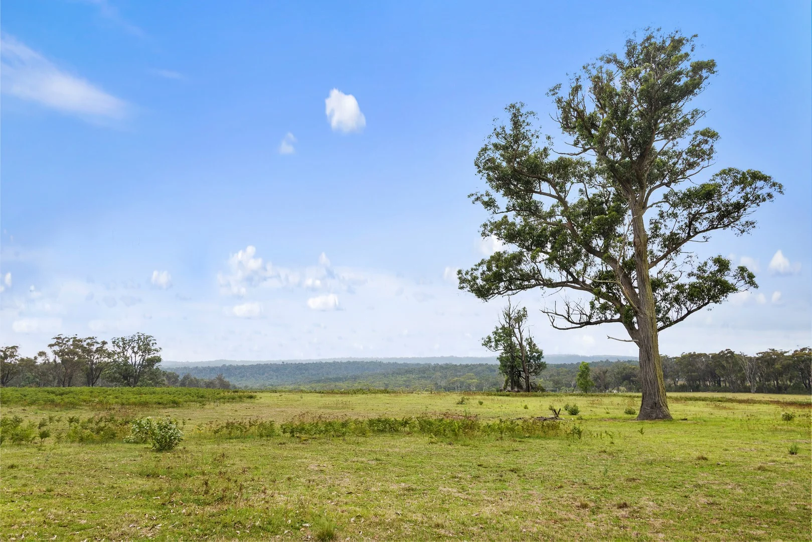 633A Hanging Rock Road, Paddys River NSW 2577