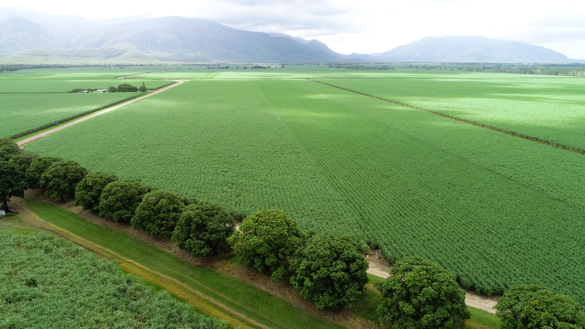 Additional image 11 of Giru QLD 4809