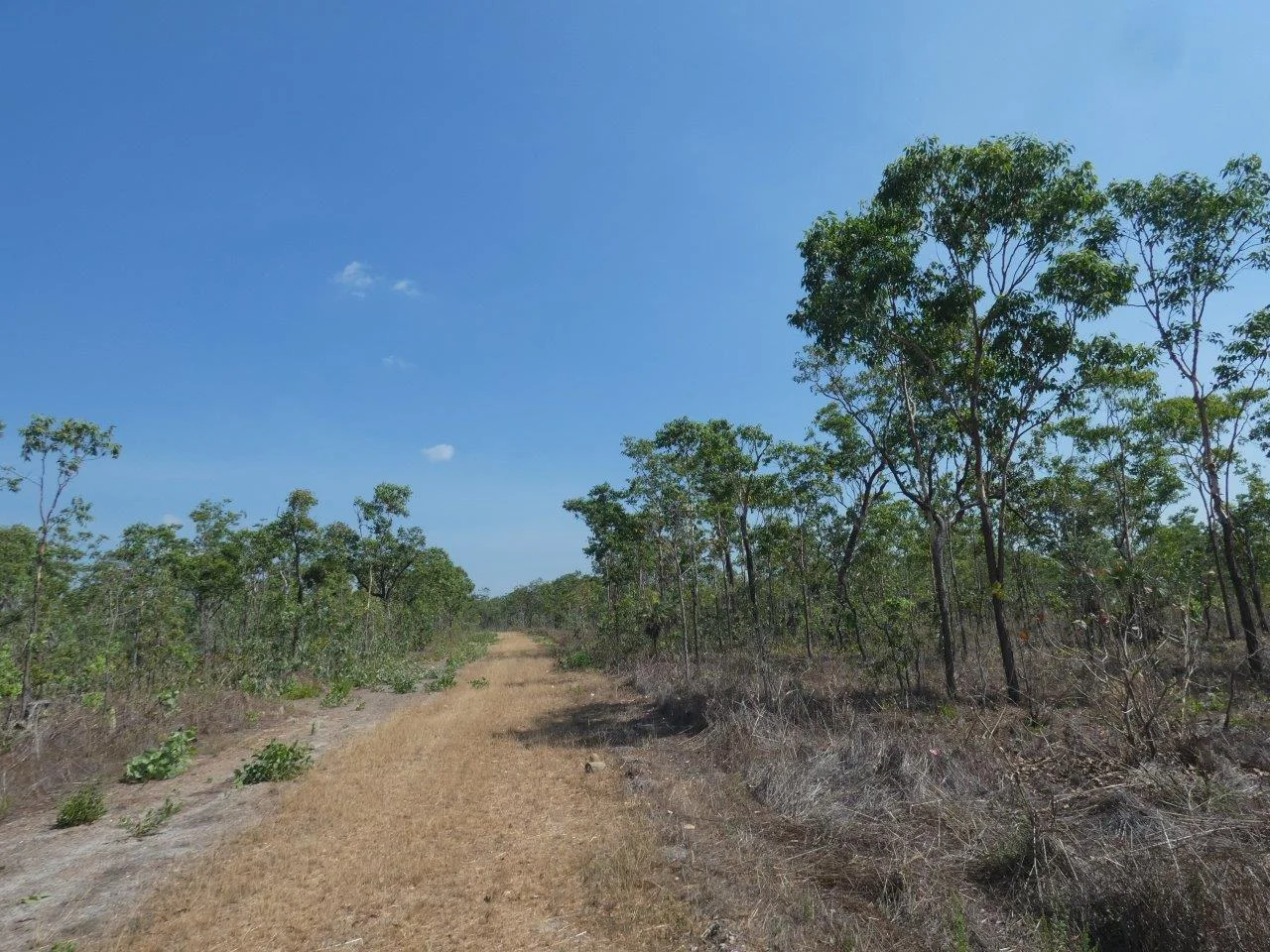 Additional image 5 of 108 Mielang Road, Blackmore NT 0822