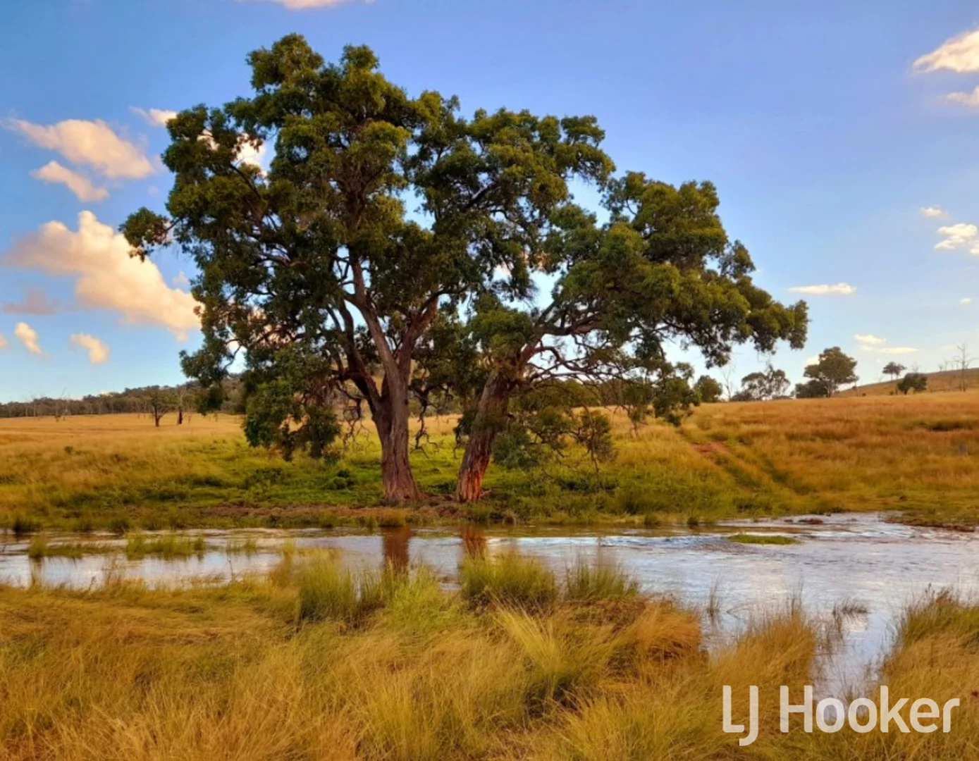 Additional image 6 of 557 Pindari Dam Road, Inverell NSW 2360