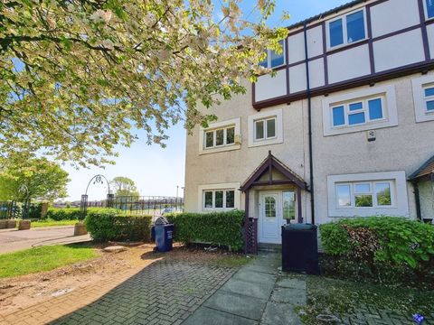 Bluebell Dene, Newbiggin Hall NE5