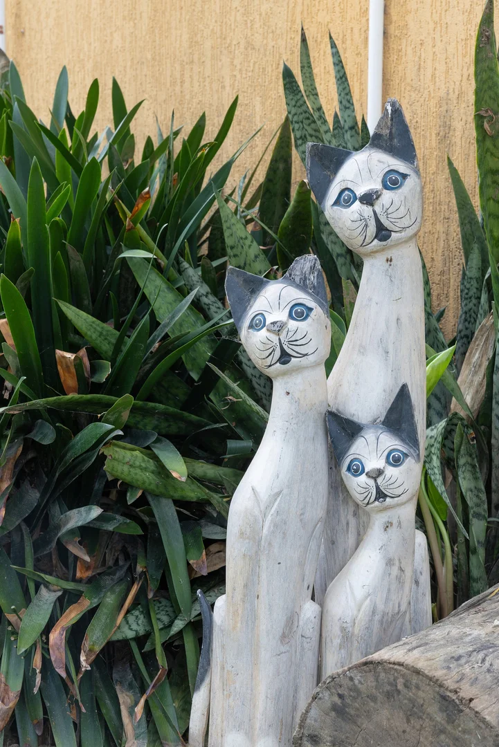 Additional image 28 of 31 East Combined Street, Wingham NSW 2429