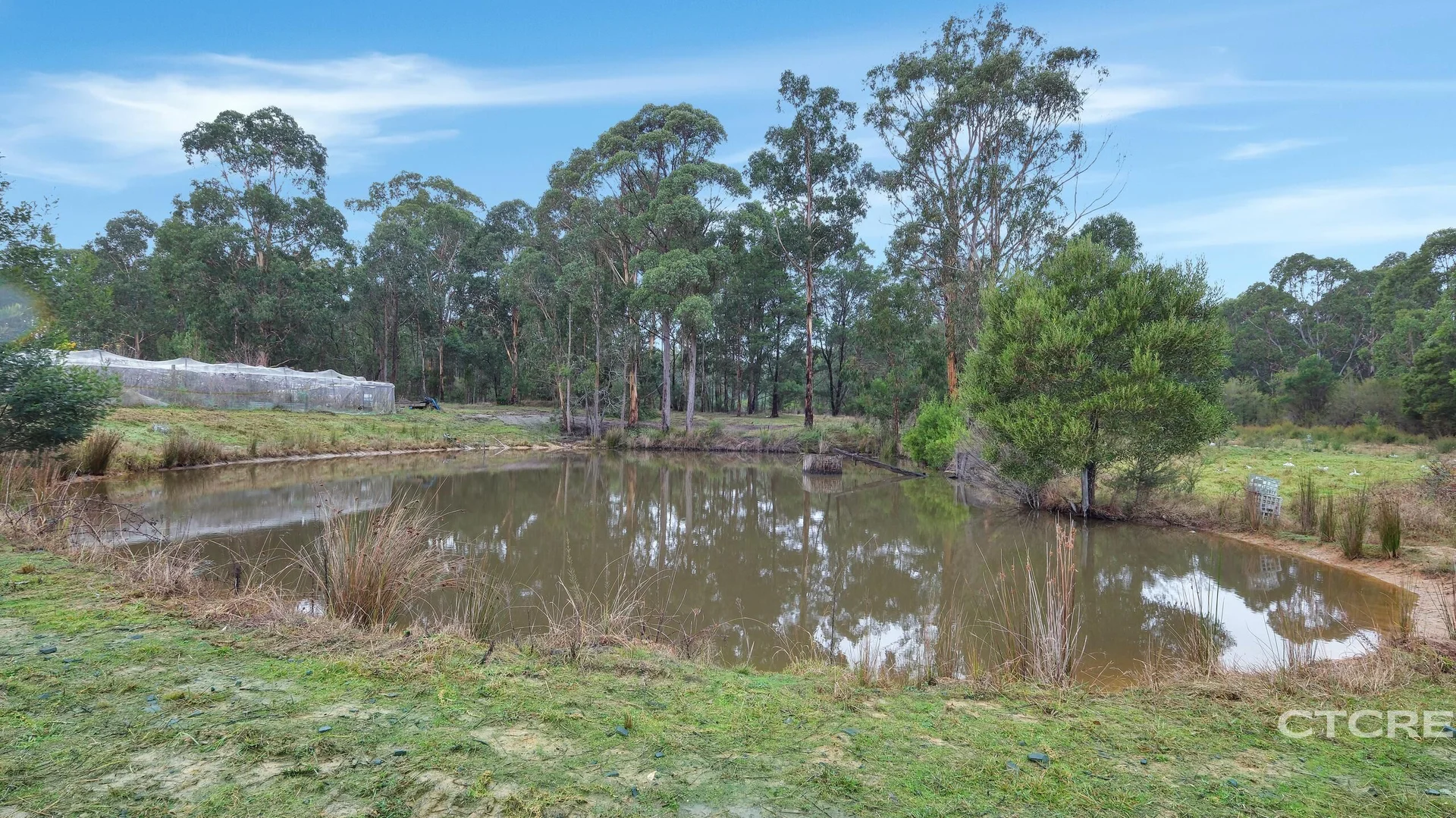 Additional image 13 of 181 Tamboon Road, Cann River VIC 3890