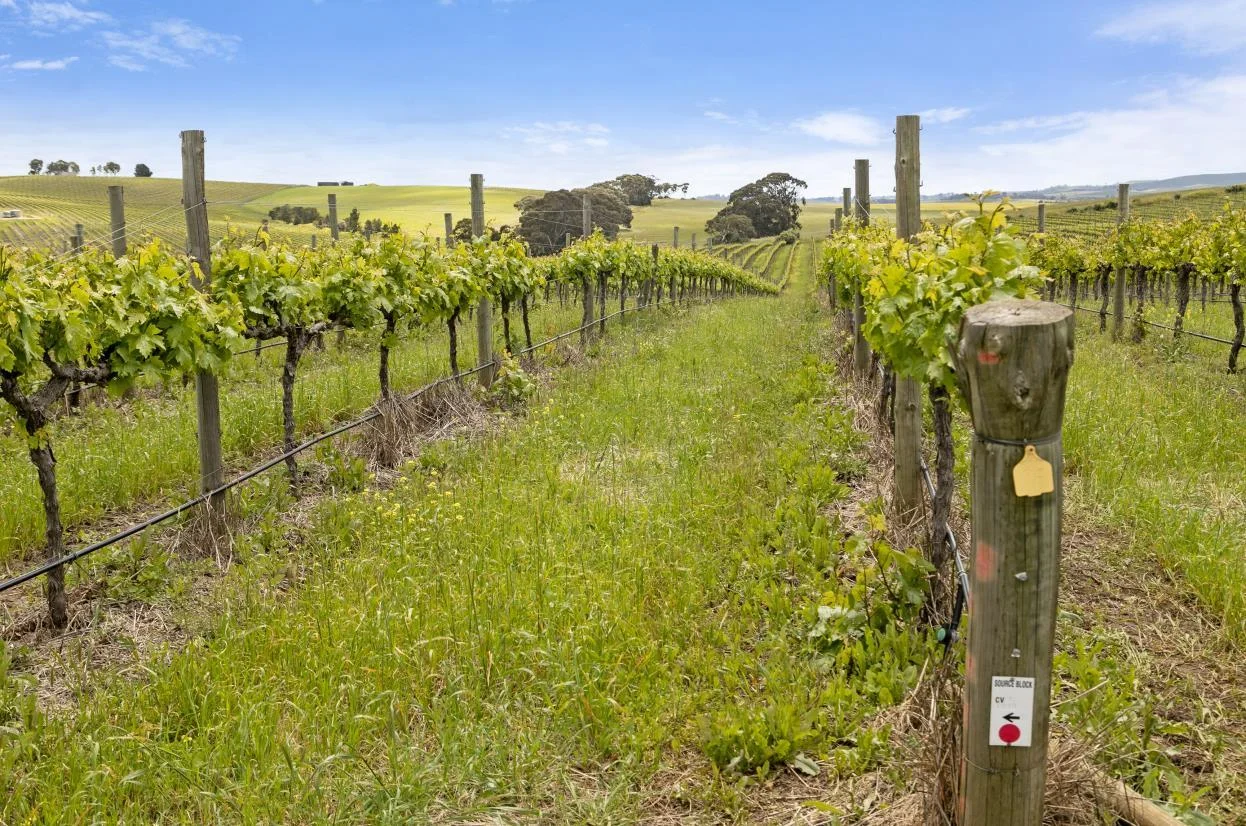 Additional image 11 of Lot 54 Tank Road, Auburn SA 5451