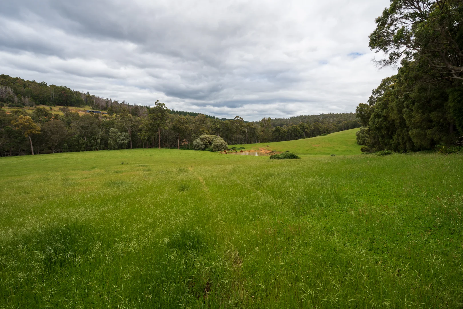 Additional image 11 of Lot 4 Kammann Road (Upper Warren), Manjimup WA 6258