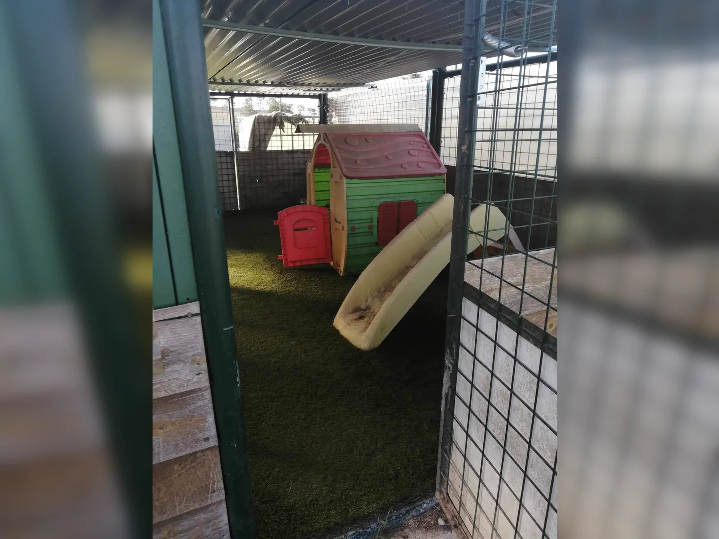 Additional image 24 of 9 Short Street, Deepwater NSW 2371