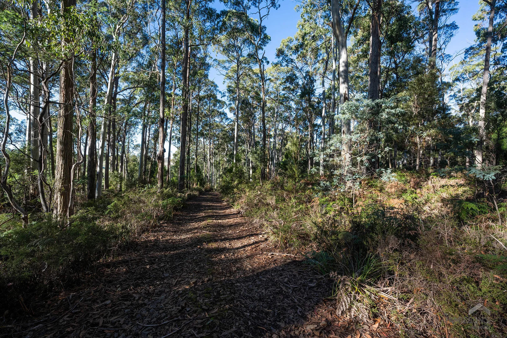 Additional image 17 of Weetah Road, Weetah TAS 7304
