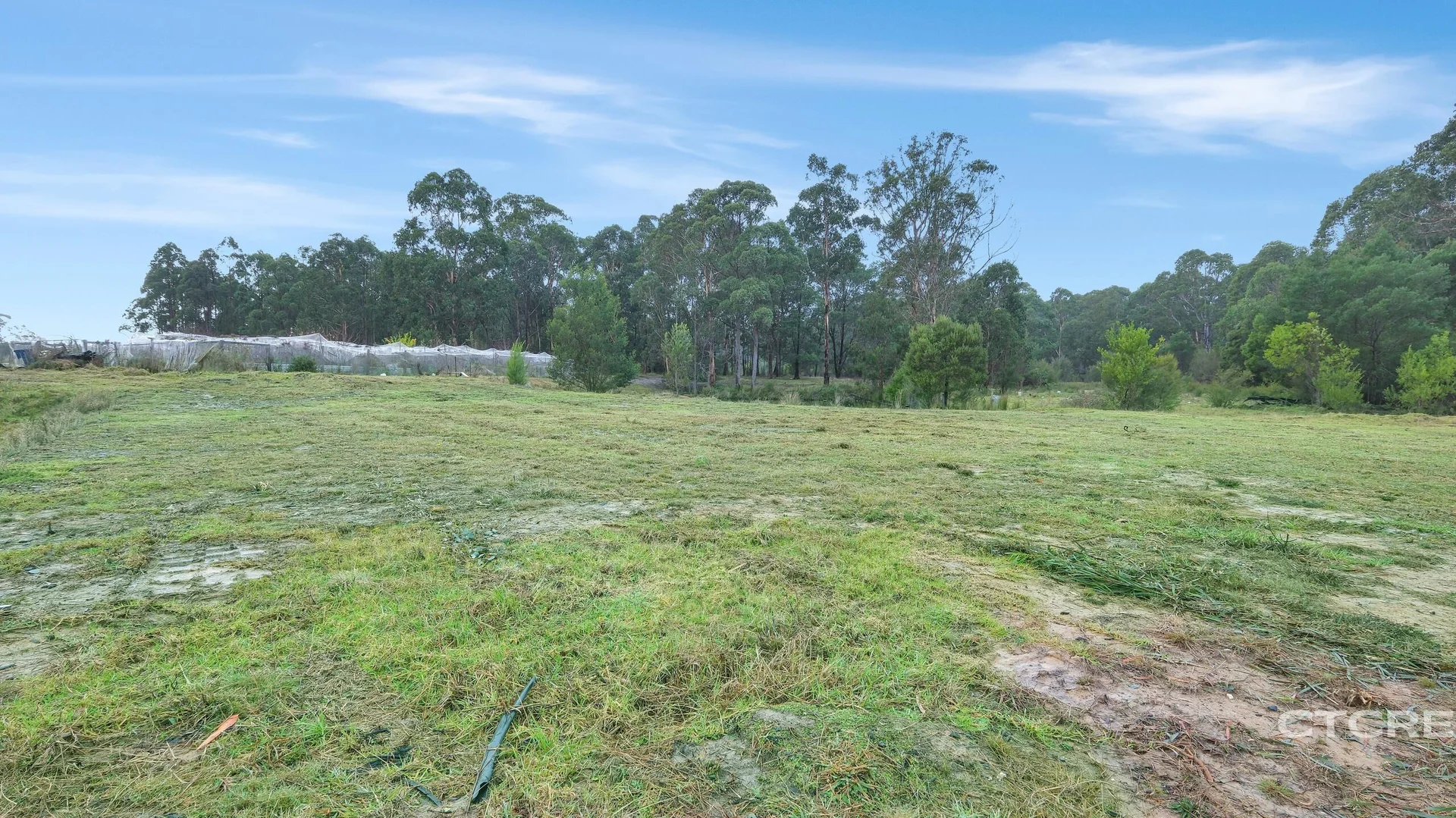 Additional image 6 of 181 Tamboon Road, Cann River VIC 3890
