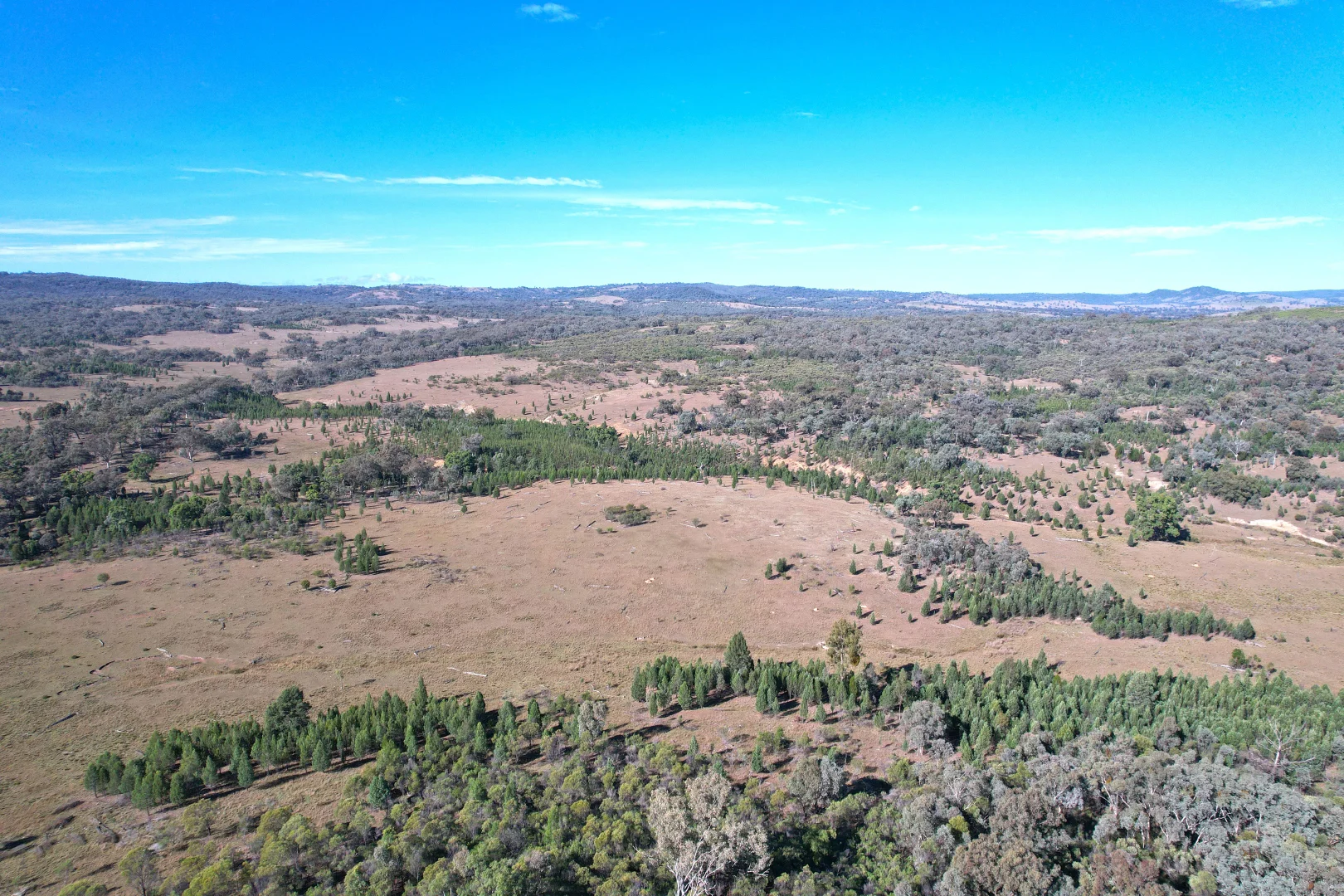 Additional image 15 of Hollybank Road, Inglewood QLD 4387