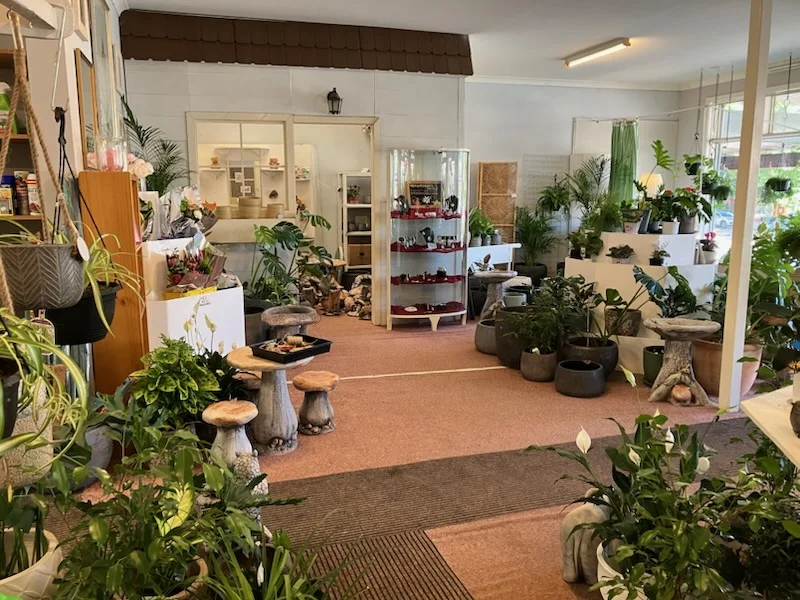 Additional image 3 of 125 Wallace Street, Braidwood NSW 2622