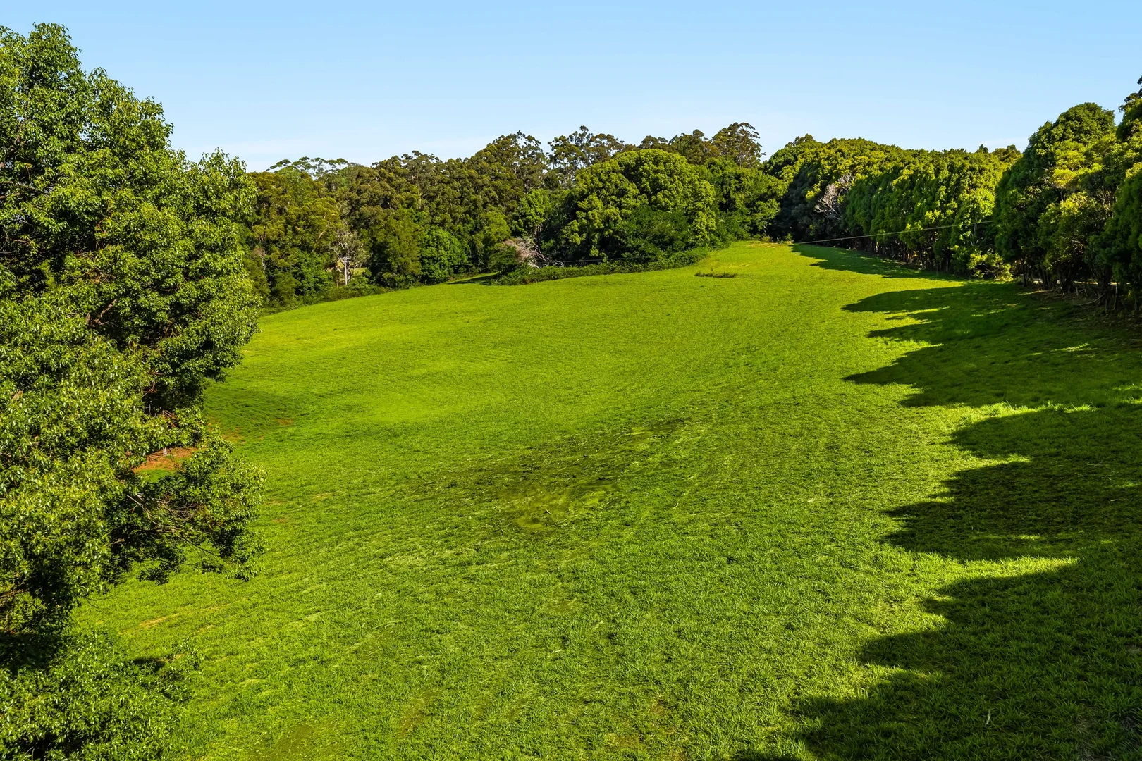 Additional image 12 of 217 Goonengerry Mill Road, Goonengerry NSW 2482