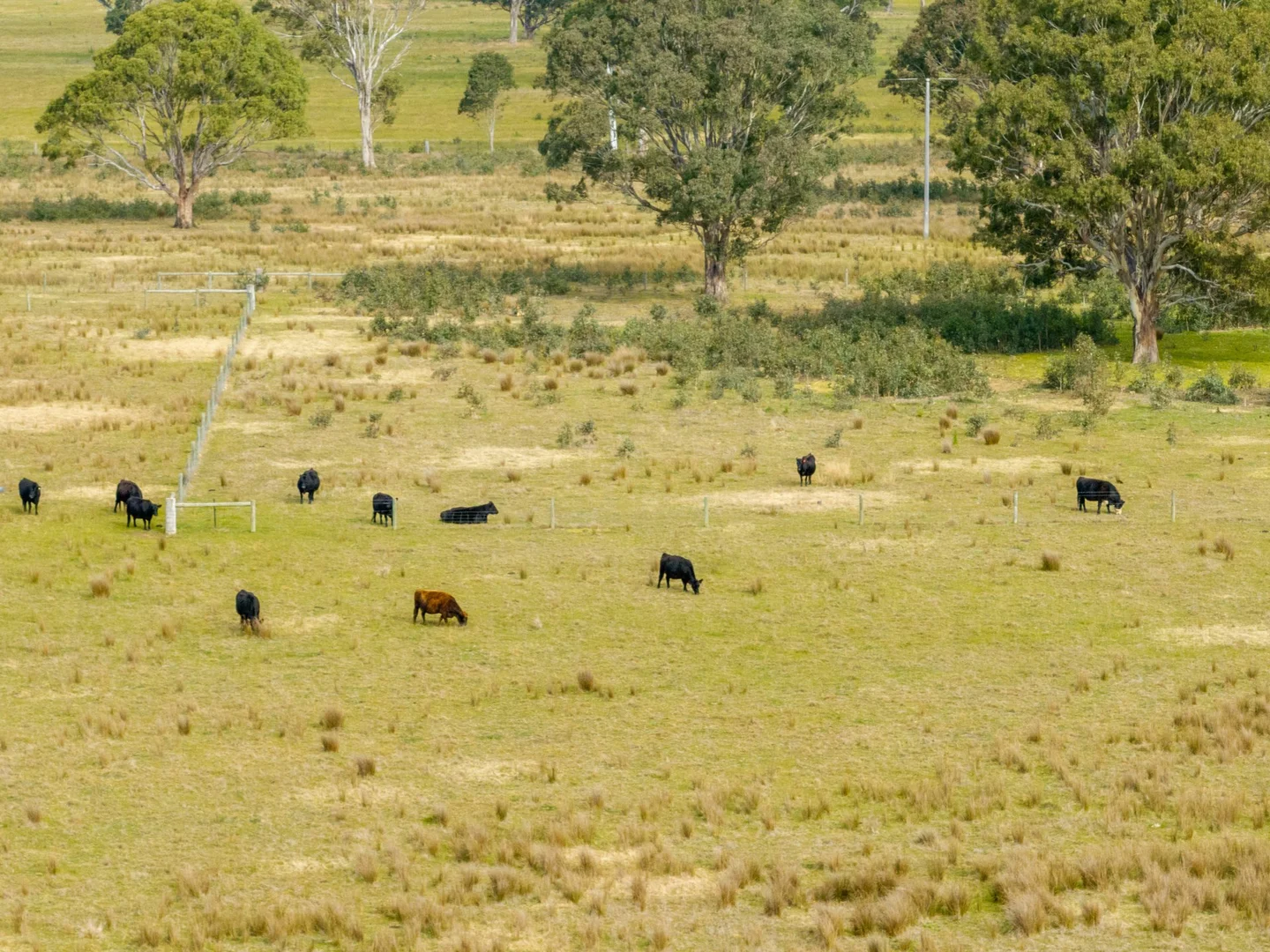 Additional image 15 of Lot 1/488 Bengworden Road, Bairnsdale VIC 3875