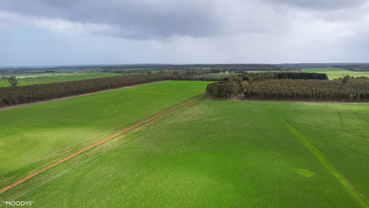 Additional image 28 of 3960 Dartmoor-Hamilton Road, Grassdale VIC 3302