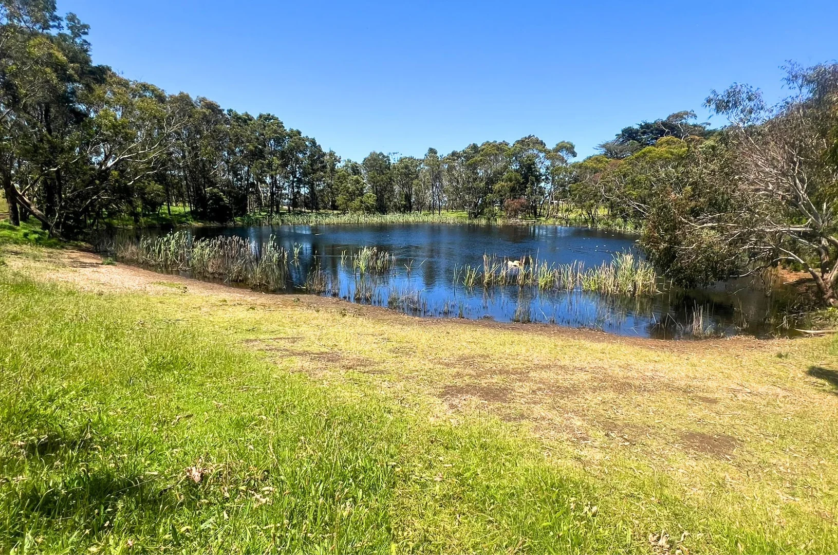 Additional image 4 of 310 Princes Highway, Bolwarra VIC 3305