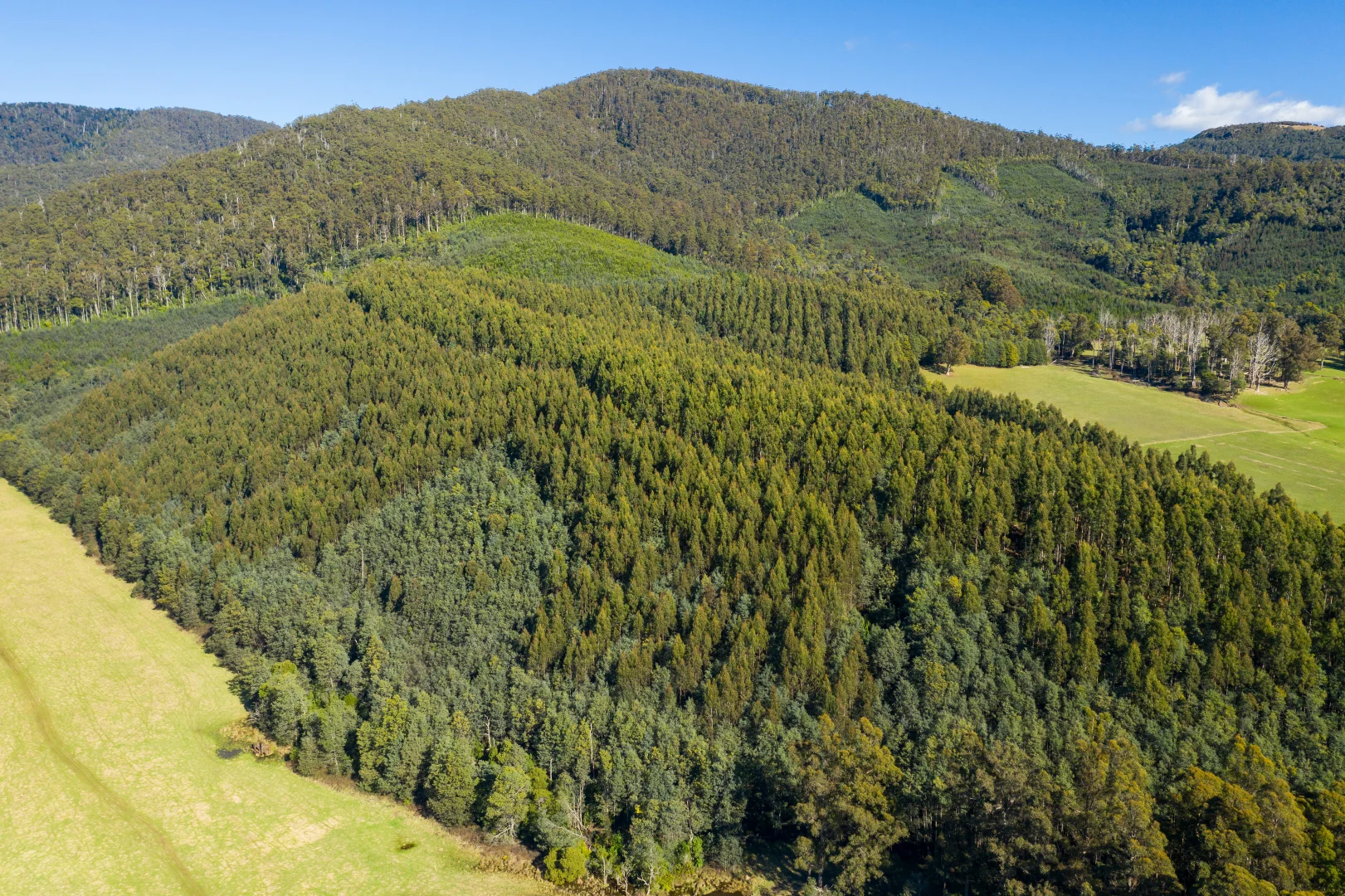 Additional image 21 of Alberton TAS 7263