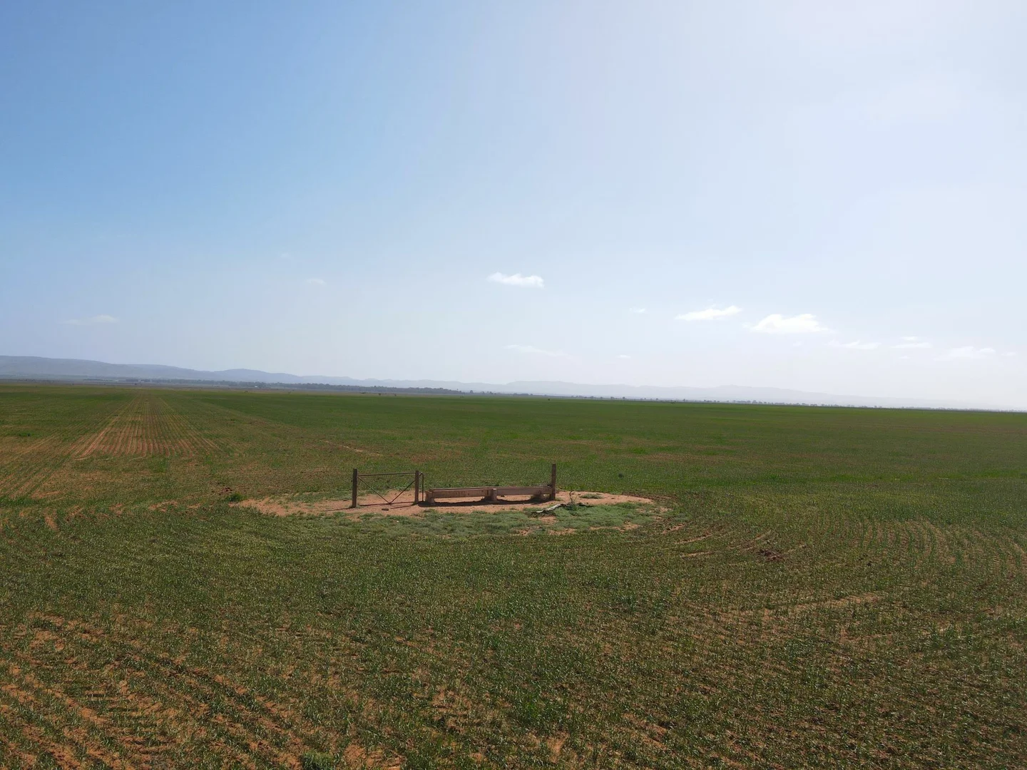 Additional image 5 of 'Daly's' Collins Road, Willowie SA 5431