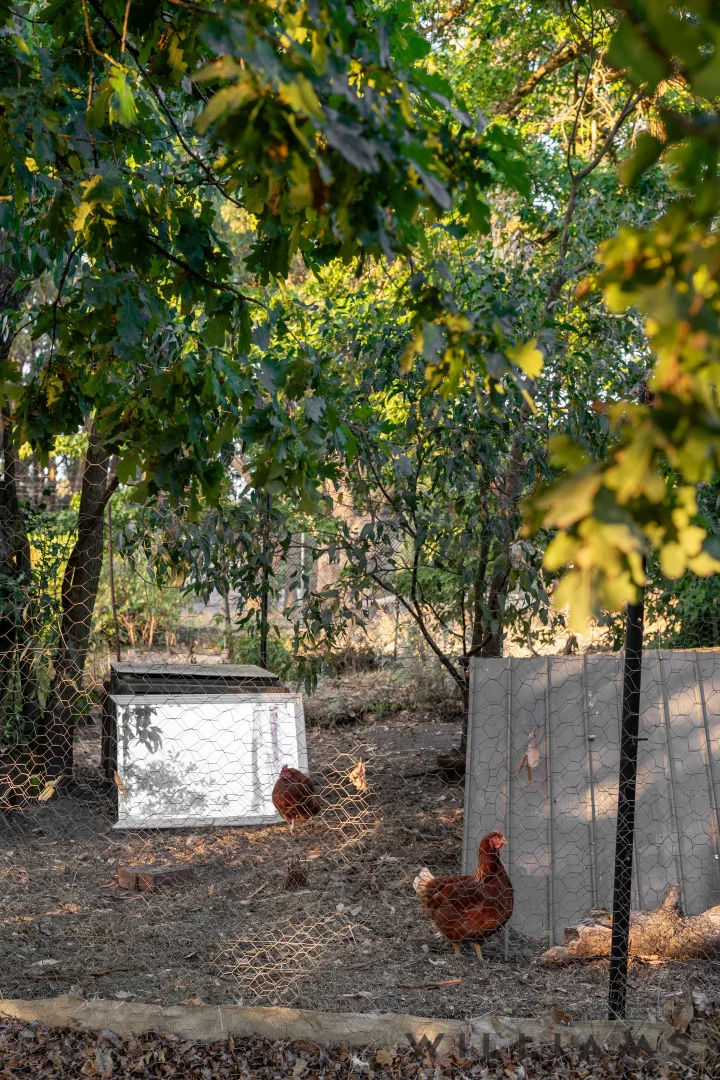 Additional image 13 of 8-10 Owens Street, Crafers SA 5152