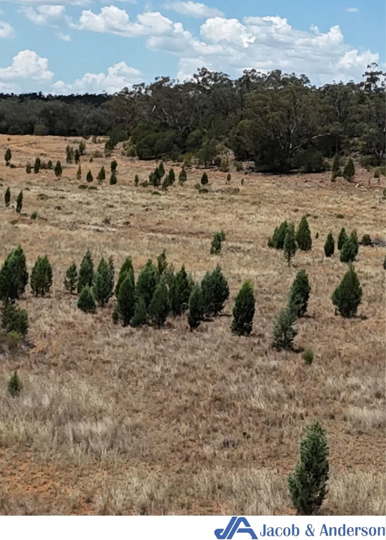 Additional image 15 of 169 Doubleday Road, Gunnedah NSW 2380