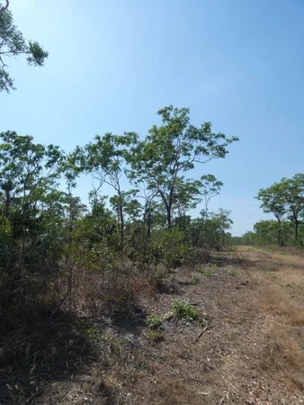 Additional image 3 of 108 Mielang Road, Blackmore NT 0822