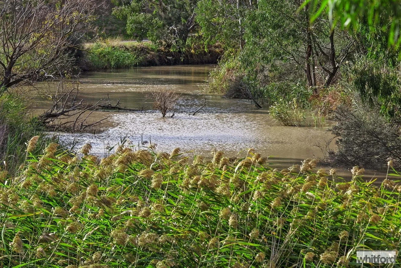 Additional image 10 of 88 Monier Way, Fyansford VIC 3218