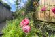 Additional image 14 of Taddiport, Torrington, Devon, EX38