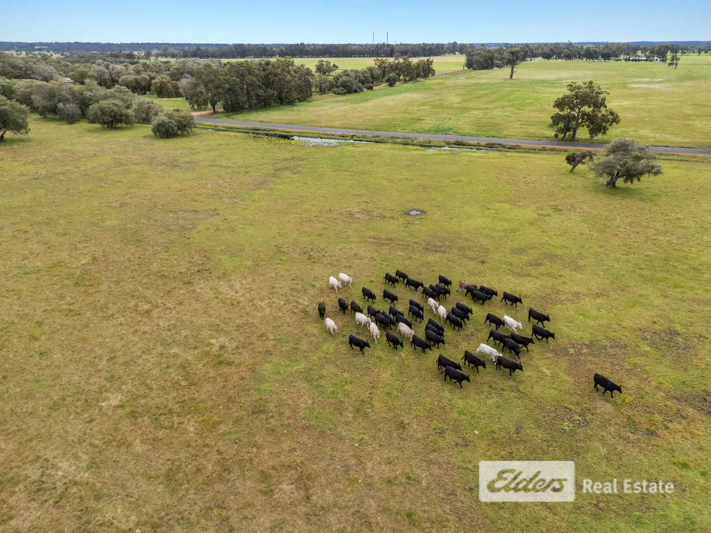 Additional image 28 of 384 Gavins Road, Capel WA 6271